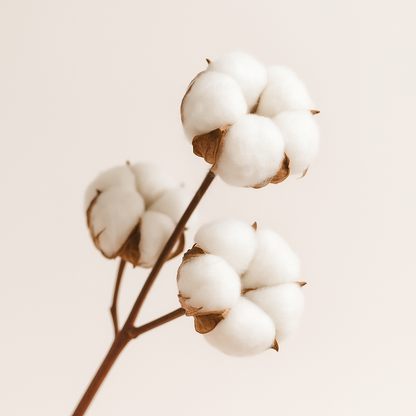 Brume d'oreiller Fleur de Coton 50 ml